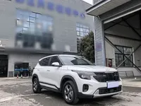 Kia Seltos 2023 (24100 км)