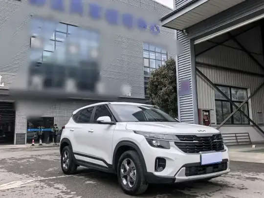 Kia Seltos 2023 (24100 км)