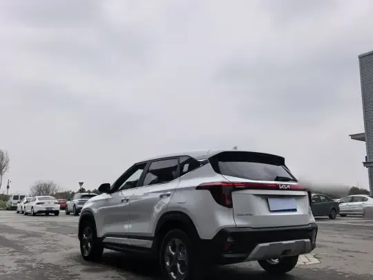 Kia Seltos 2023 (24100 км)