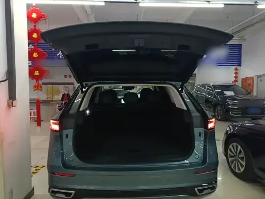 Chery Tiggo 9 2023 (39400 км)