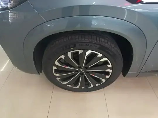 Chery Tiggo 9 2023 (39400 км)