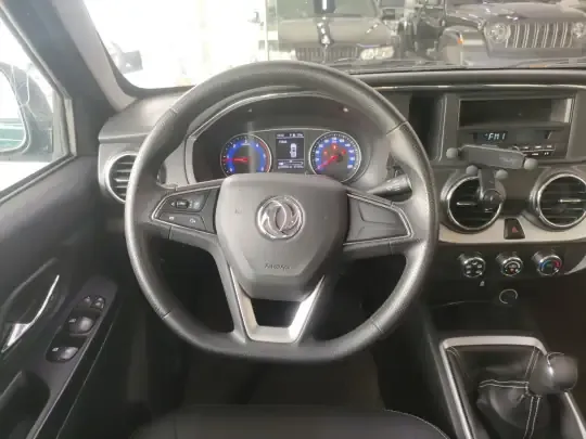 Dongfeng Ruichi 2023 (21100 км)