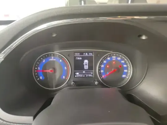 Dongfeng Ruichi 2023 (21100 км)