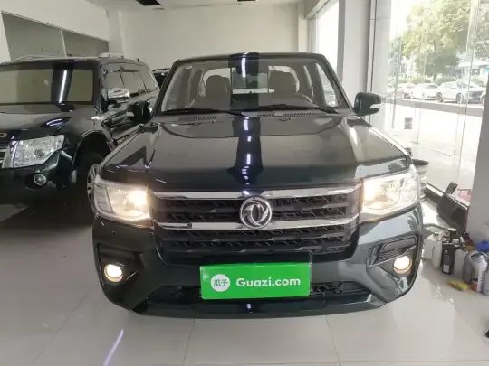 Dongfeng Ruichi 2023 (21100 км)