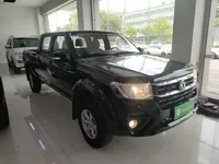 Dongfeng Ruichi 2023 (21100 км)