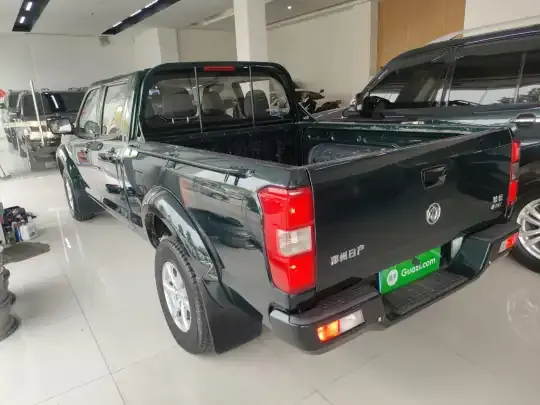 Dongfeng Ruichi 2023 (21100 км)