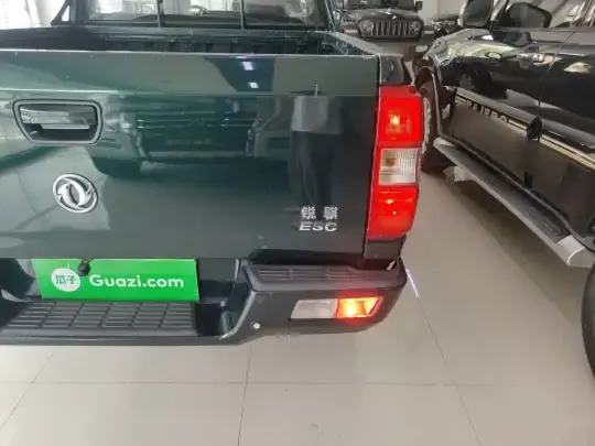 Dongfeng Ruichi 2023 (21100 км)