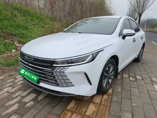 BYD Destroyer 05 2023 (40100 км)