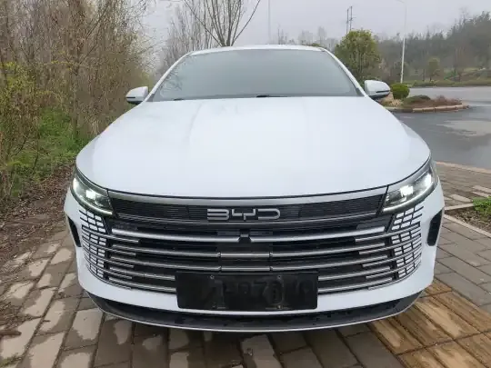 BYD Destroyer 05 2023 (40100 км)