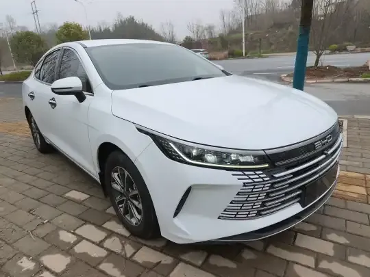 BYD Destroyer 05 2023 (40100 км)