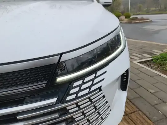 BYD Destroyer 05 2023 (40100 км)
