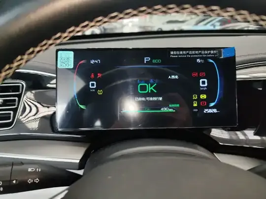 BYD Qin PLUS 2023 (25800 км)