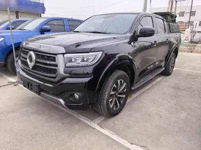 Great Wall Poer 2023 (31200 км)