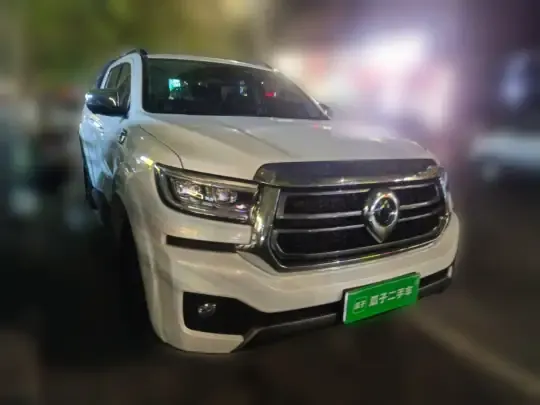 Great Wall Poer 2023 (46000 км)
