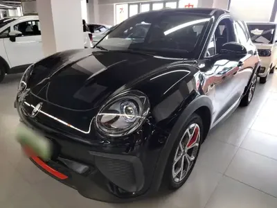 ORA Good Cat GT 2023 (29300 км)