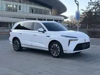 Wey Lanshan 2023 (8500 км)