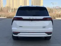 Wey Lanshan 2023 (8500 км)