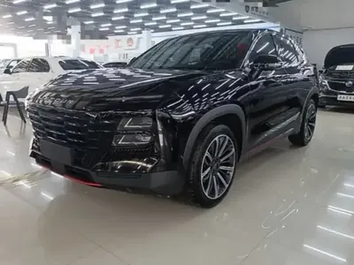 JETOUR Dashing 2023 (24400 км)
