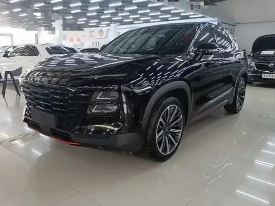 JETOUR Dashing 2023 (24400 км)