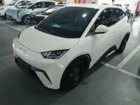 BYD Seagull 2023 (9800 км)