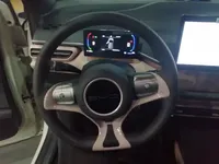 BYD Seagull 2023 (9800 км)