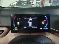 BYD Seagull 2023 (9800 км)