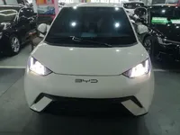 BYD Seagull 2023 (9800 км)