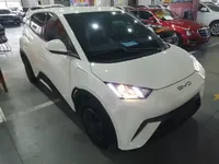 BYD Seagull 2023 (9800 км)