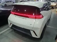 BYD Seagull 2023 (9800 км)