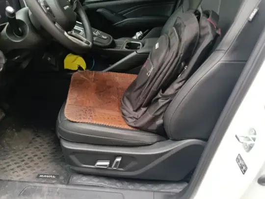 Haval Fierce Dragon Max 2023 (5500 км)