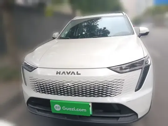 Haval Fierce Dragon Max 2023 (5500 км)