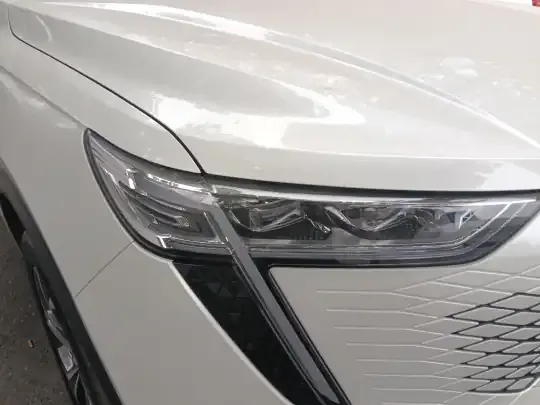 Haval Fierce Dragon Max 2023 (5500 км)