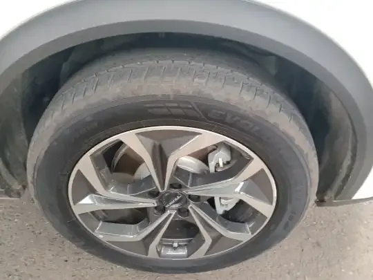 Haval Fierce Dragon Max 2023 (5500 км)