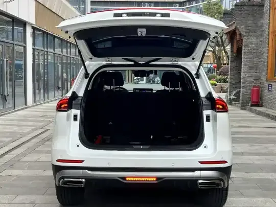 Haval H6 2023 (46700 км)