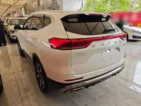 Haval H6 2023 (46700 км)