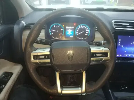 JMC DaDao 2023 (96100 км)