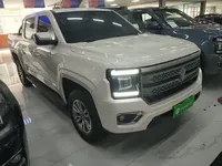 JMC DaDao 2023 (96100 км)