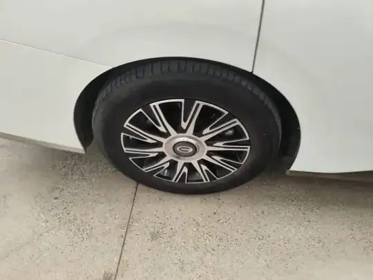 GAC Trumpchi E9 2023 (27200 км)