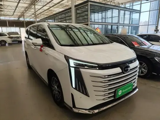 GAC Trumpchi E9 2023 (27200 км)
