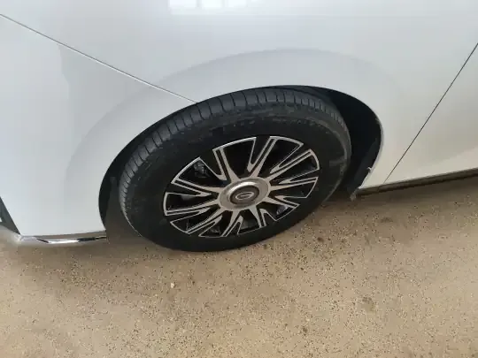 GAC Trumpchi E9 2023 (27200 км)