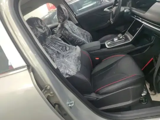 BAIC Beijing X7 2023 (100 км)