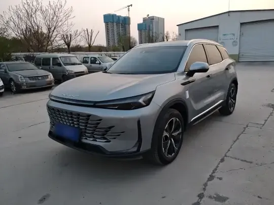BAIC Beijing X7 2023 (9300 км)