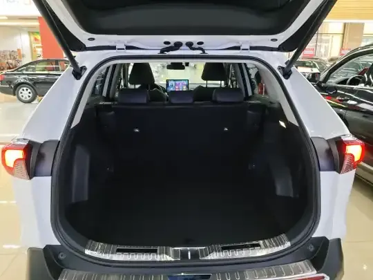 Toyota RAV4 2023 (8300 км)