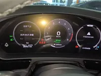 Porsche Cayenne E-Hybrid 2024 (25900 км)