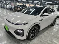 XPeng G6 2023 (34700 км)