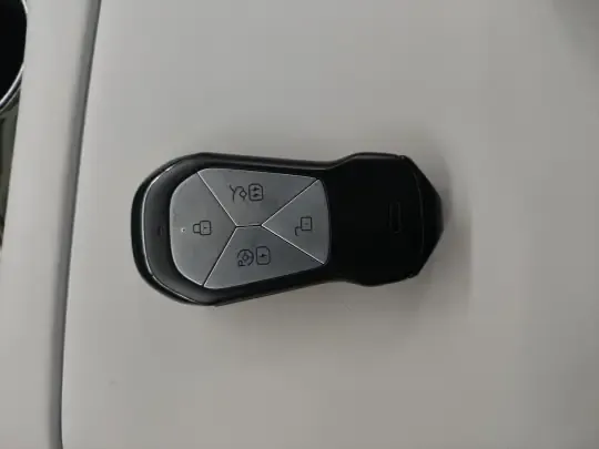 XPeng G6 2023 (34700 км)