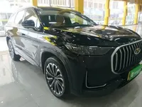 Chery Tiggo 9 2023 (7900 км)