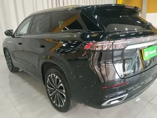 Chery Tiggo 9 2023 (7900 км)