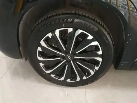 Chery Tiggo 9 2023 (7900 км)