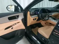 Chery Tiggo 9 2023 (7900 км)